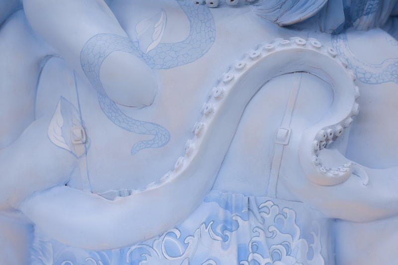Octopus — Aspired Delusion, view 4